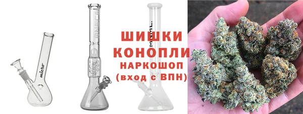 бошки Горнозаводск